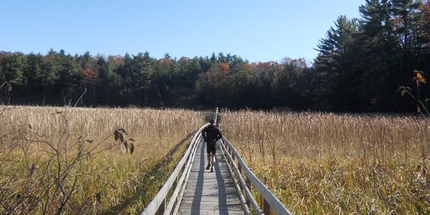 Jones Creek Trails